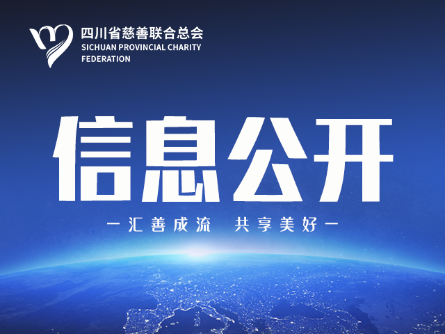 关于确定四川省慈善联合总会·点心关爱基金“银龄守护”行动项目结项评估服务供应商的公示